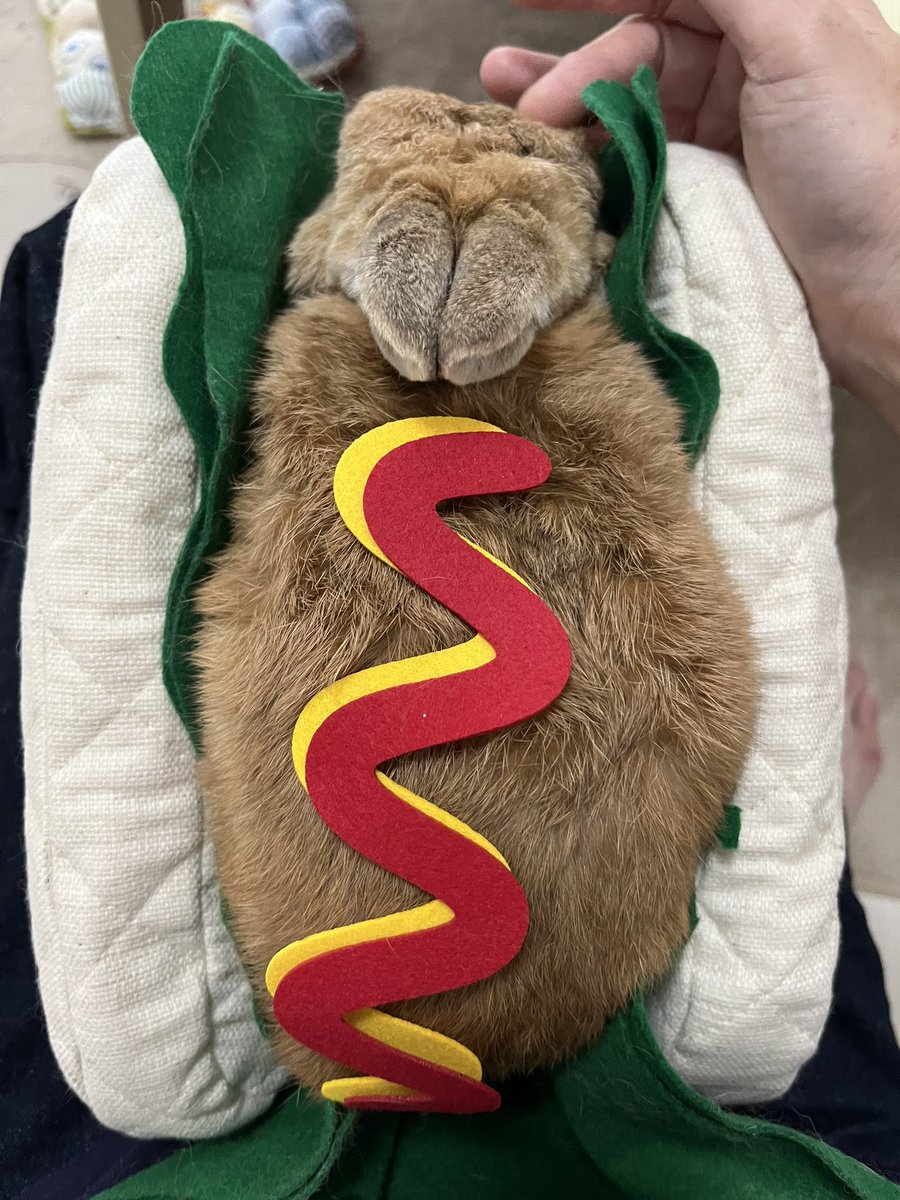 チビ太(CHIBITA🐰)のママ太 (@piccolocibi) / Posts / X