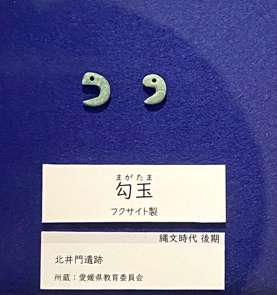 勾玉に祈りを】展示紹介⑦ 松山市北井門遺跡出土 石製勾玉 縄文時代