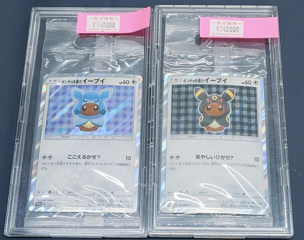 🌟販売情報🌟 🖤ポンチョを着たイーブイ ブラッキー