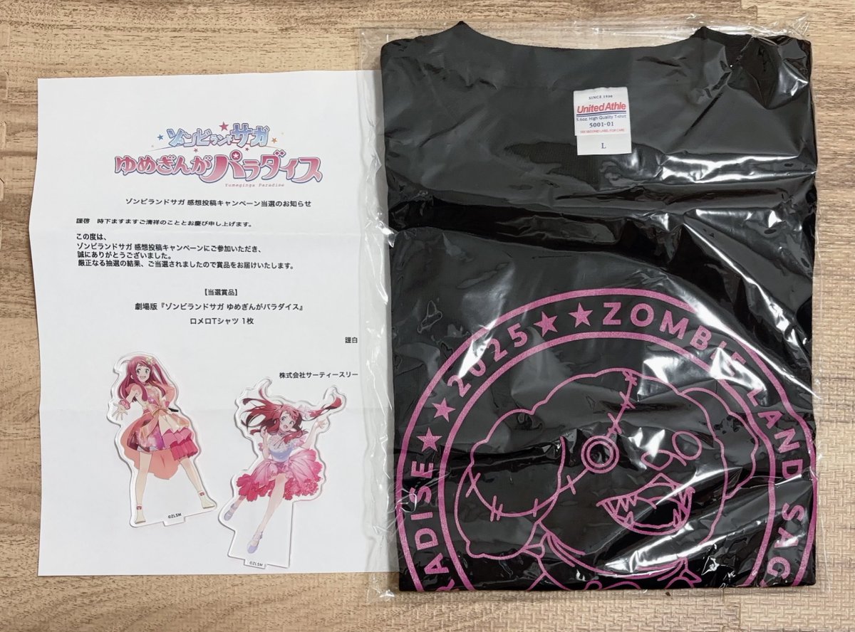 感想投稿キャンペーンにてロメロTシャツをいただきました！こんなに