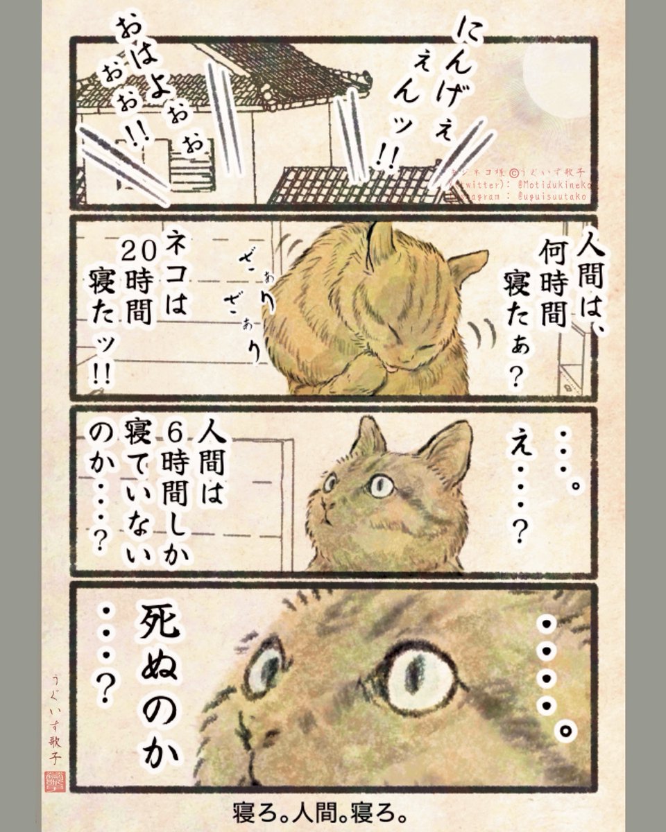 Post by キジネコ様 on X: まとめ03