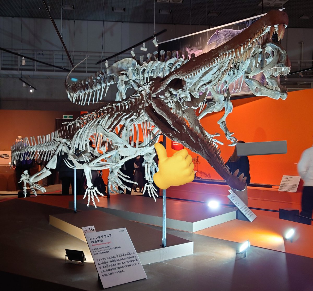 遅ればせながら大絶滅展に行ってきました。平日に行ったおかげで