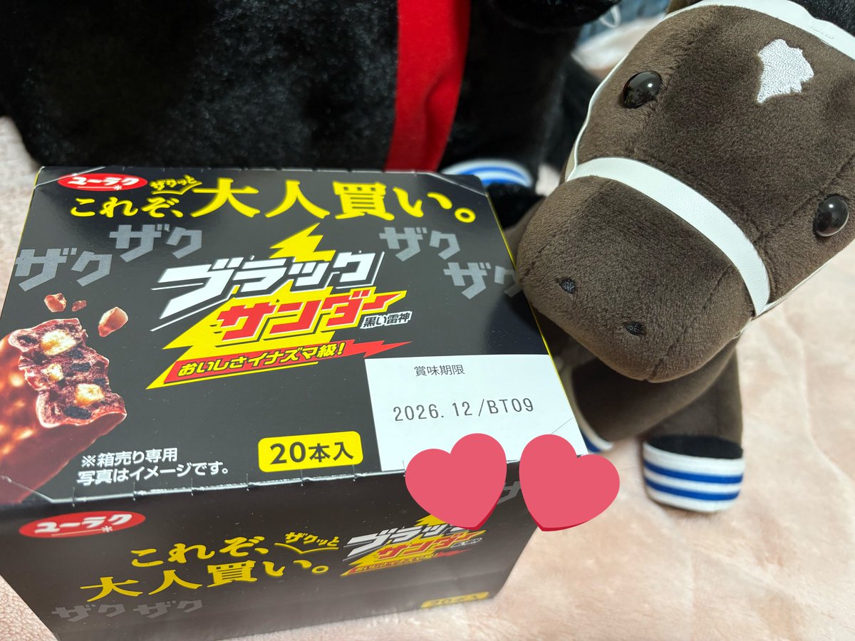 なかなか京都競馬場には行けないので、自らブラックサンダーを箱で買い