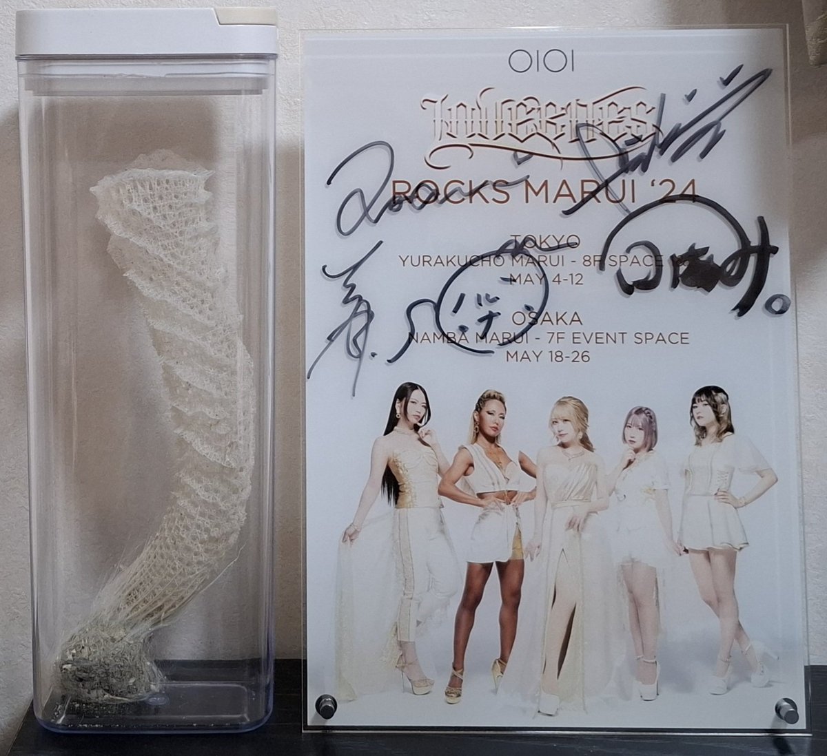 アクスタの山になってた棚を整理して、(倒れて割れたら困るなと思って