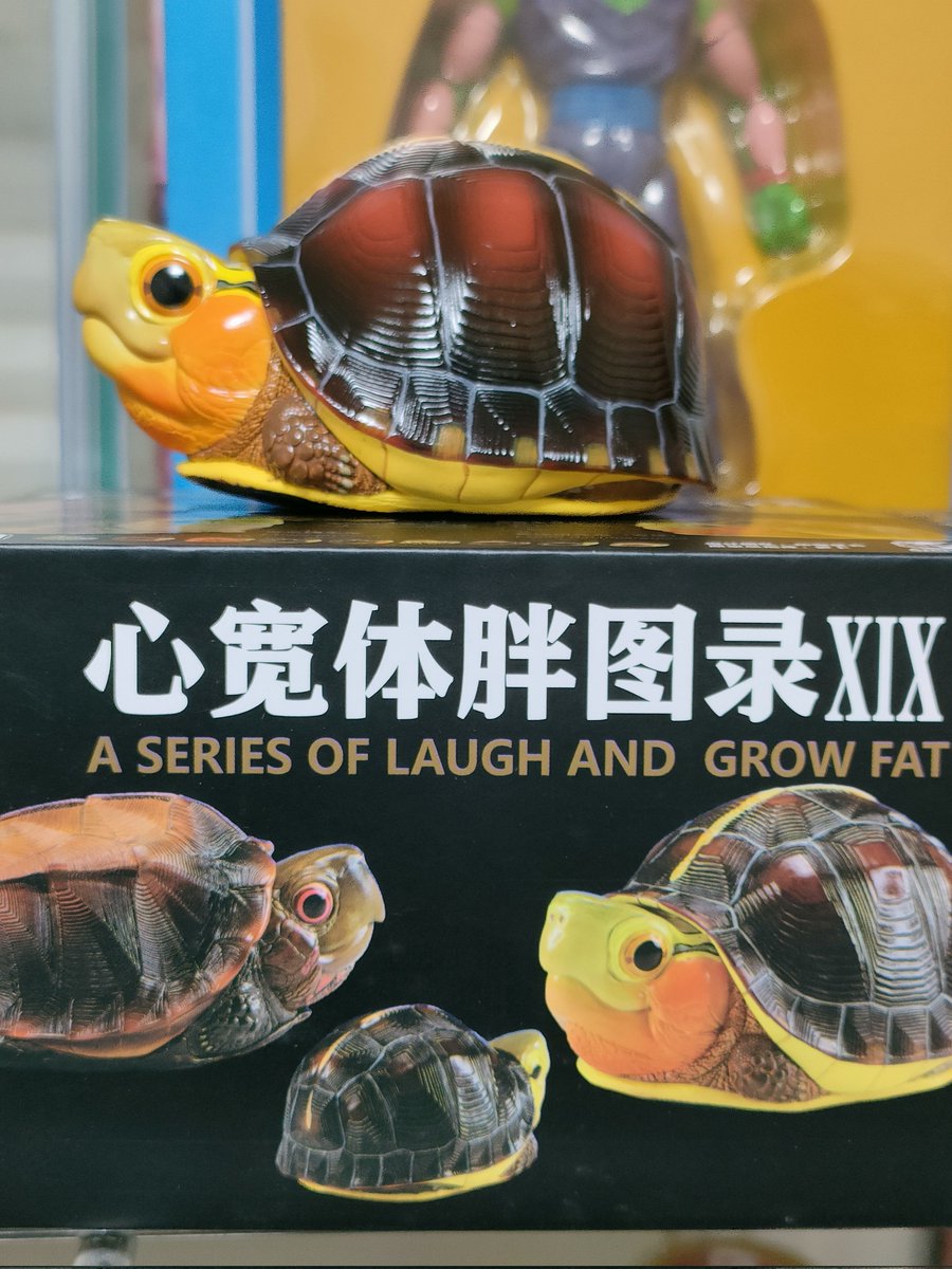 動物の惑星 フィギュア チュウゴクセマルハコガメ