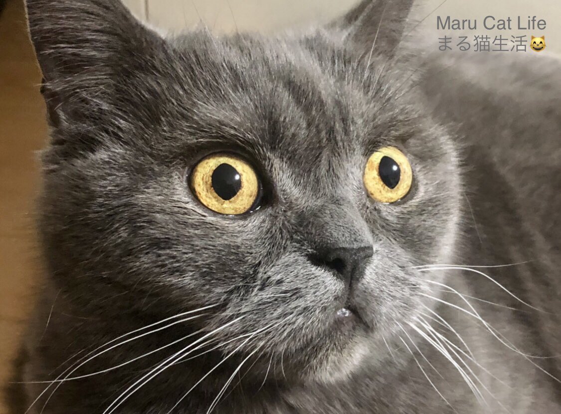 He's so engrossed in watching TV that his eyes are wide open. Maru