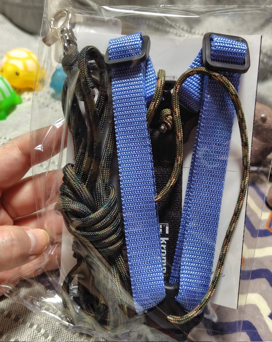 予定はめちゃくちゃでしたが、目的は無事達成🐢🐢🐢 これで暖かくなっ