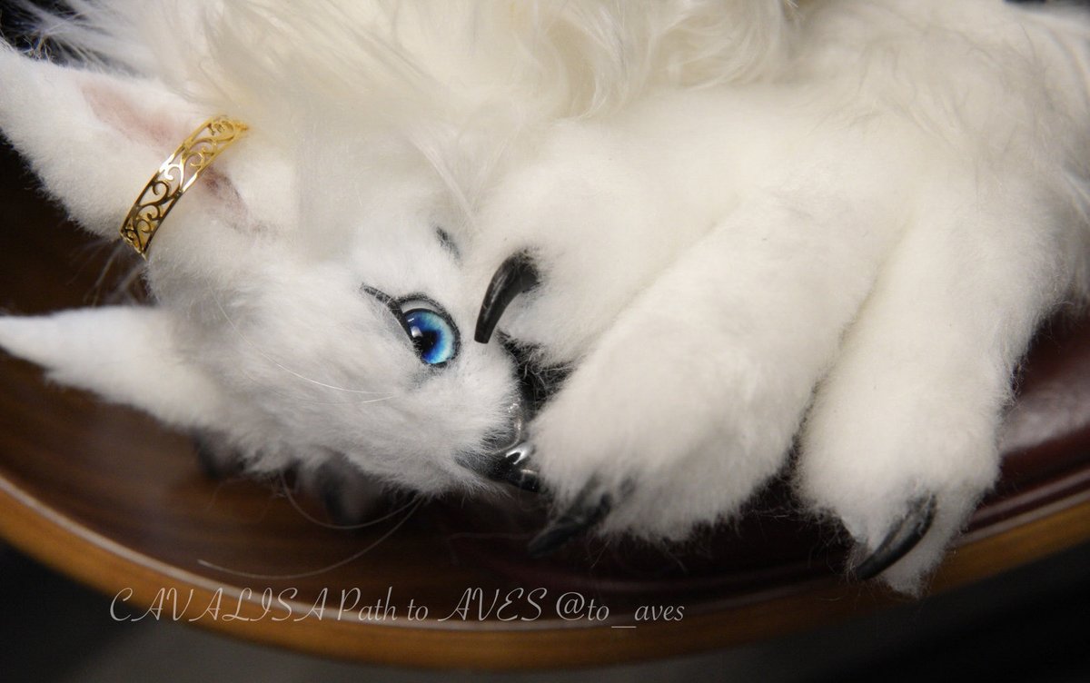 CAVALISA/アートドール作家 (@to_aves) / Posts / X