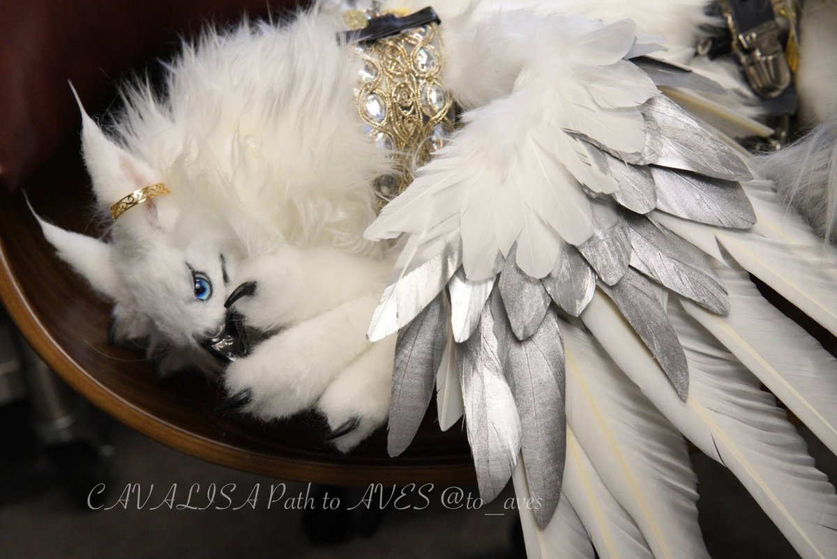 CAVALISA/アートドール作家 (@to_aves) / Posts / X