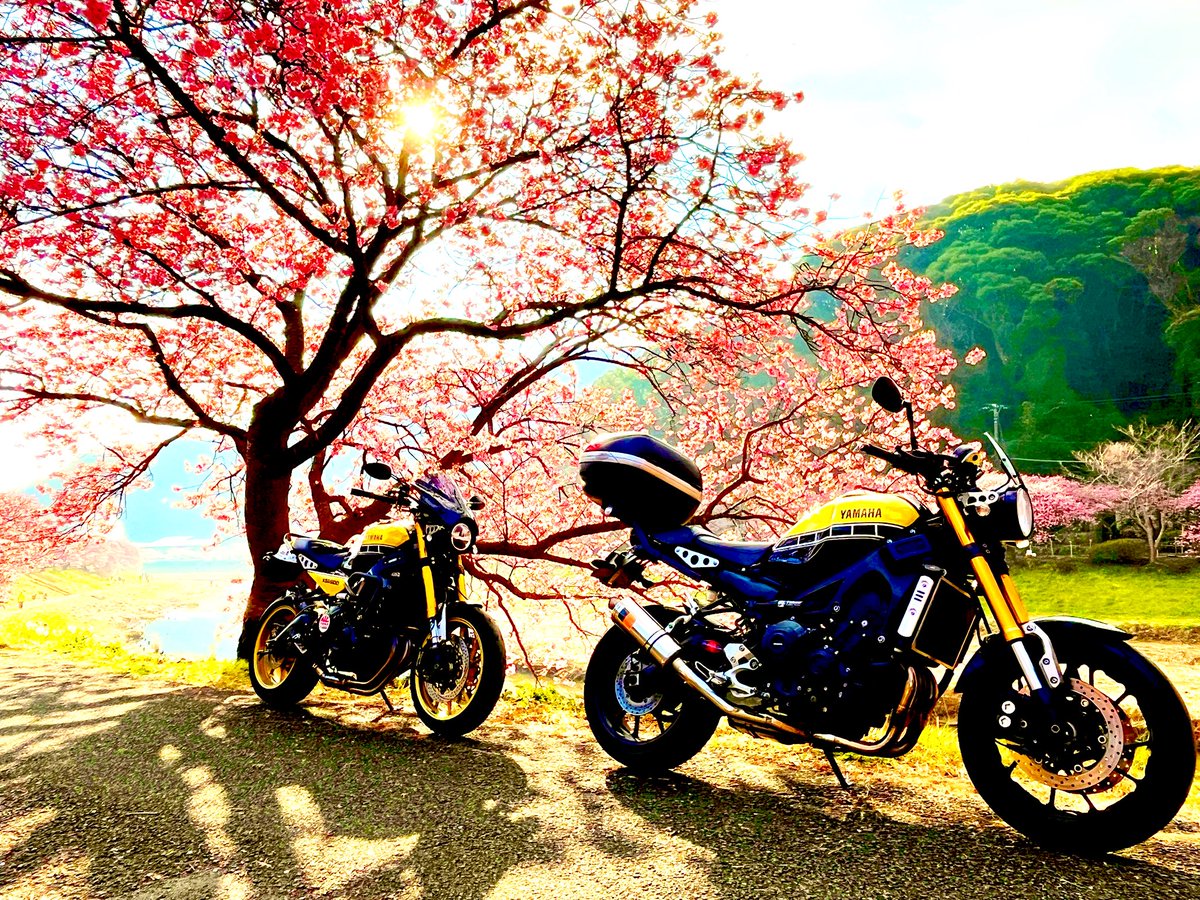 バイク🏍³₃の写真 撮らせていただきました🏍³₃ #カメラ練習 #バイク