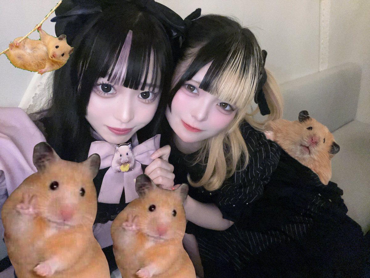 ちゃーはん愛好家🐹♡