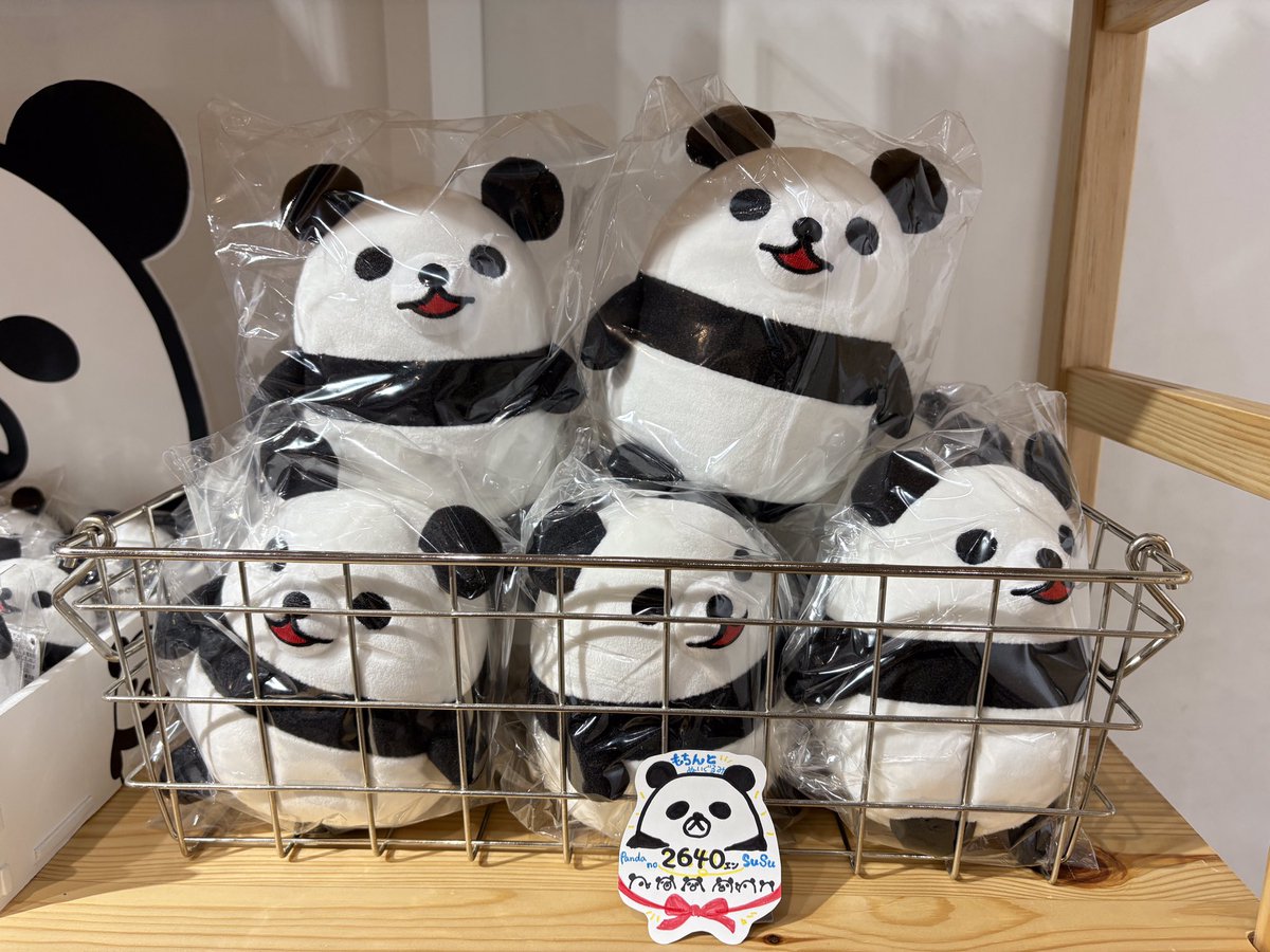 わああああ🤩🐼