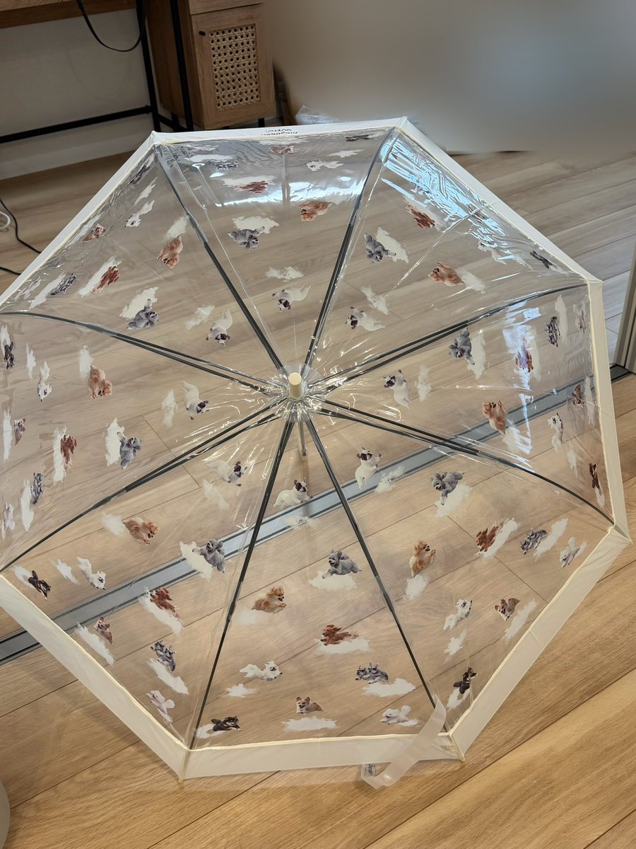 とってもご機嫌な傘が届いた☂️ ちなみに折りたたみ傘もこのシリーズ🐕