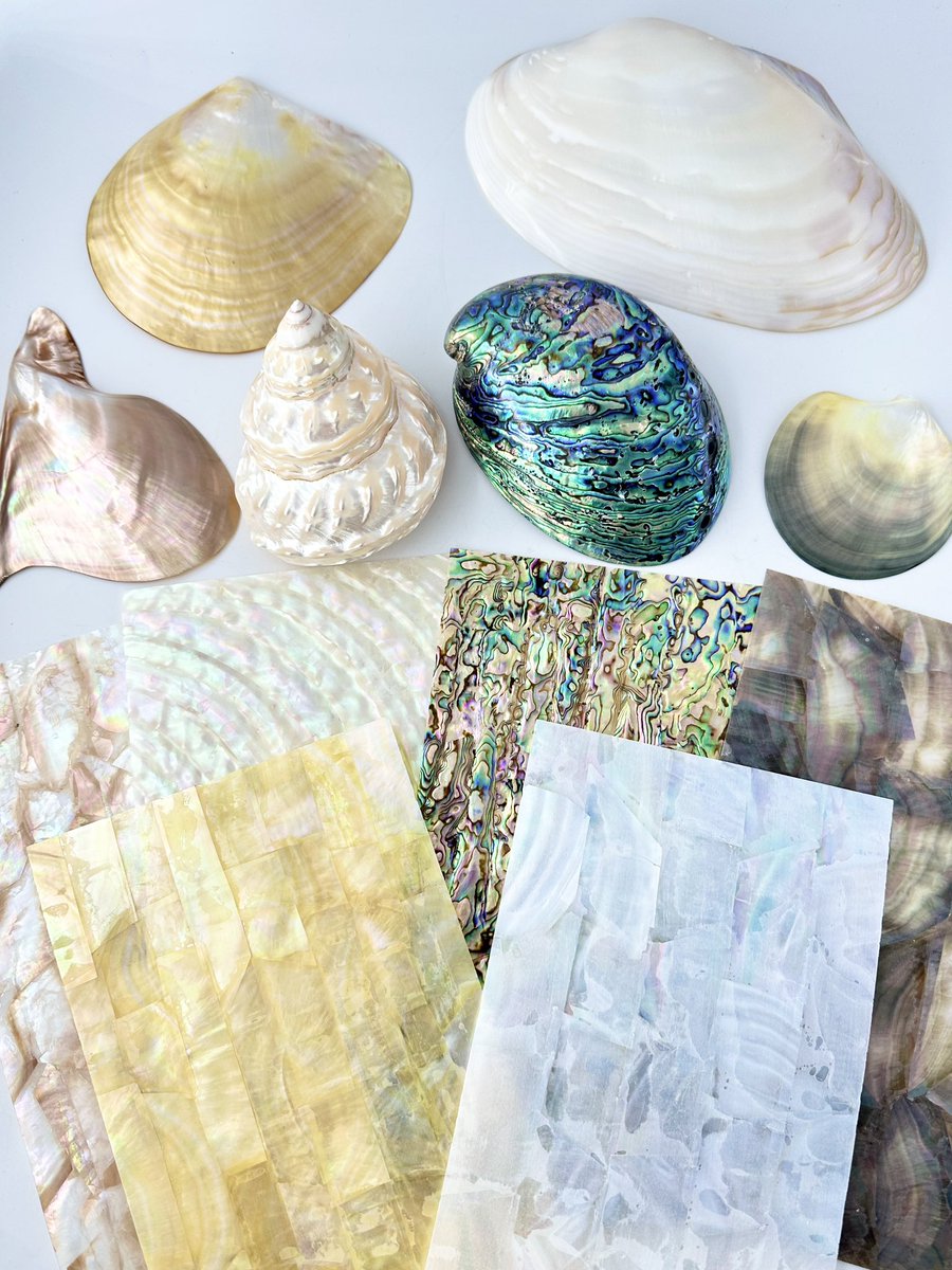天然の貝殻をシート状にしたものです✨ 現在17種類販売中🐚☺️