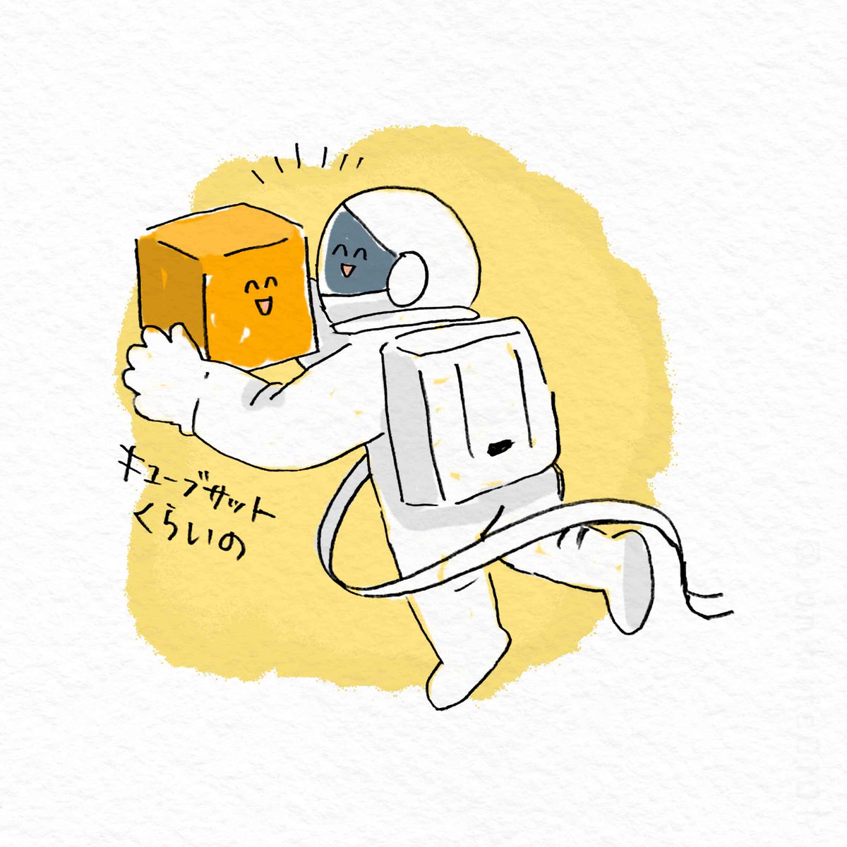 ←私が想像してたもの 実際→