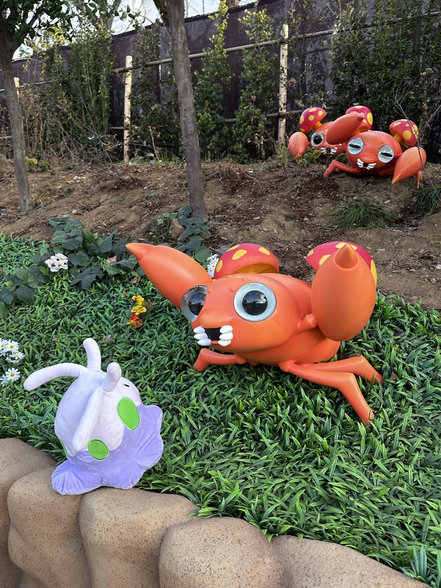 ポケパーク・カントー 中サイズのぬいぐるみもオススメです 居る感のお