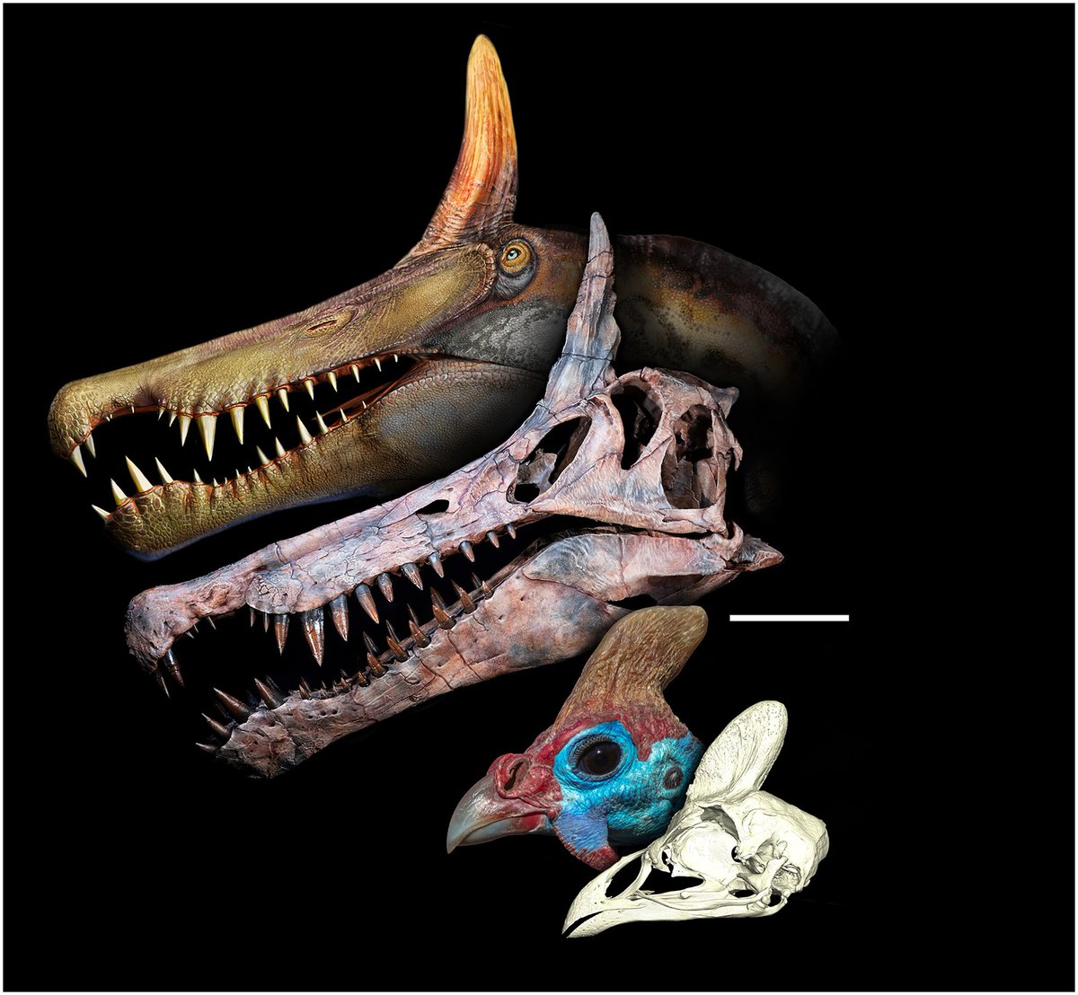 ヤマタノオロチ (@oroti0) / Posts / X