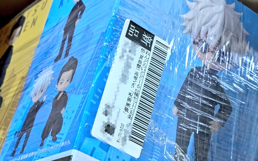 届きました！（特に割引や特典がある訳ではなかったけどつい2人セット