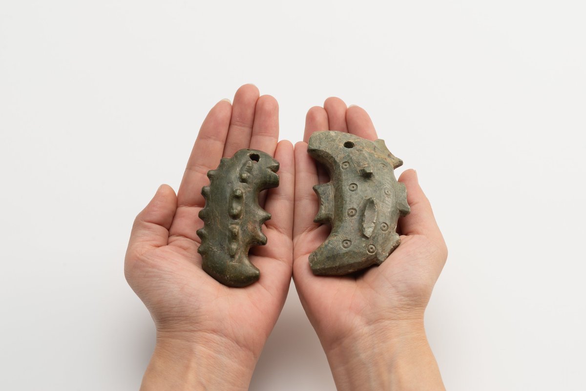 勾玉に祈りを】展示紹介⑤ 松山市出土 子持勾玉 古墳時代中期以降に見