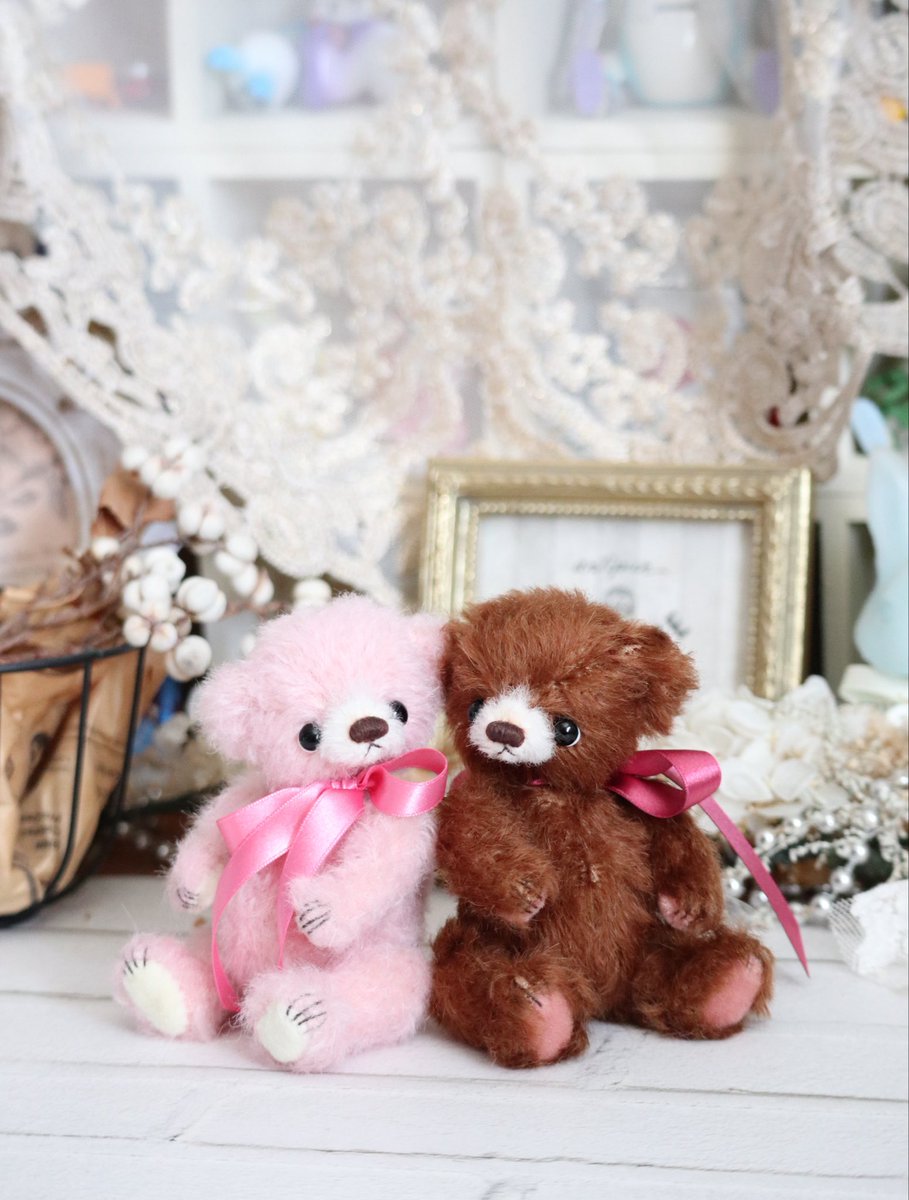 バレンタイン産まれの仔たちはこんな感じになりました🧸🎀🧸 ピンクの