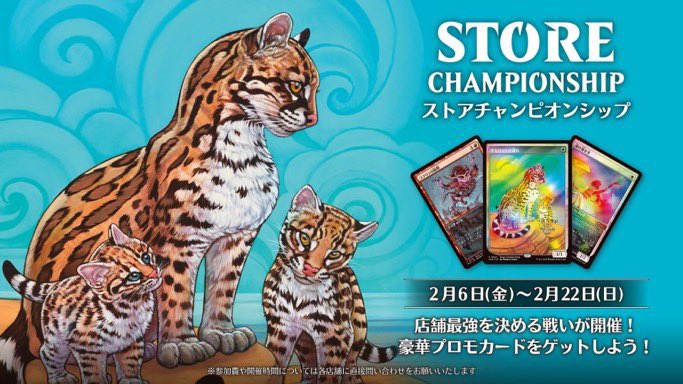 MTGイベント情報 2月21日 13:00 土曜日 チャンピオンズカップ 店舗予選