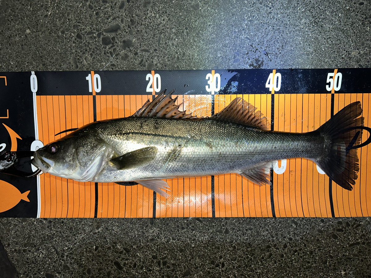 ANZYE (@anzye96) / Posts / X