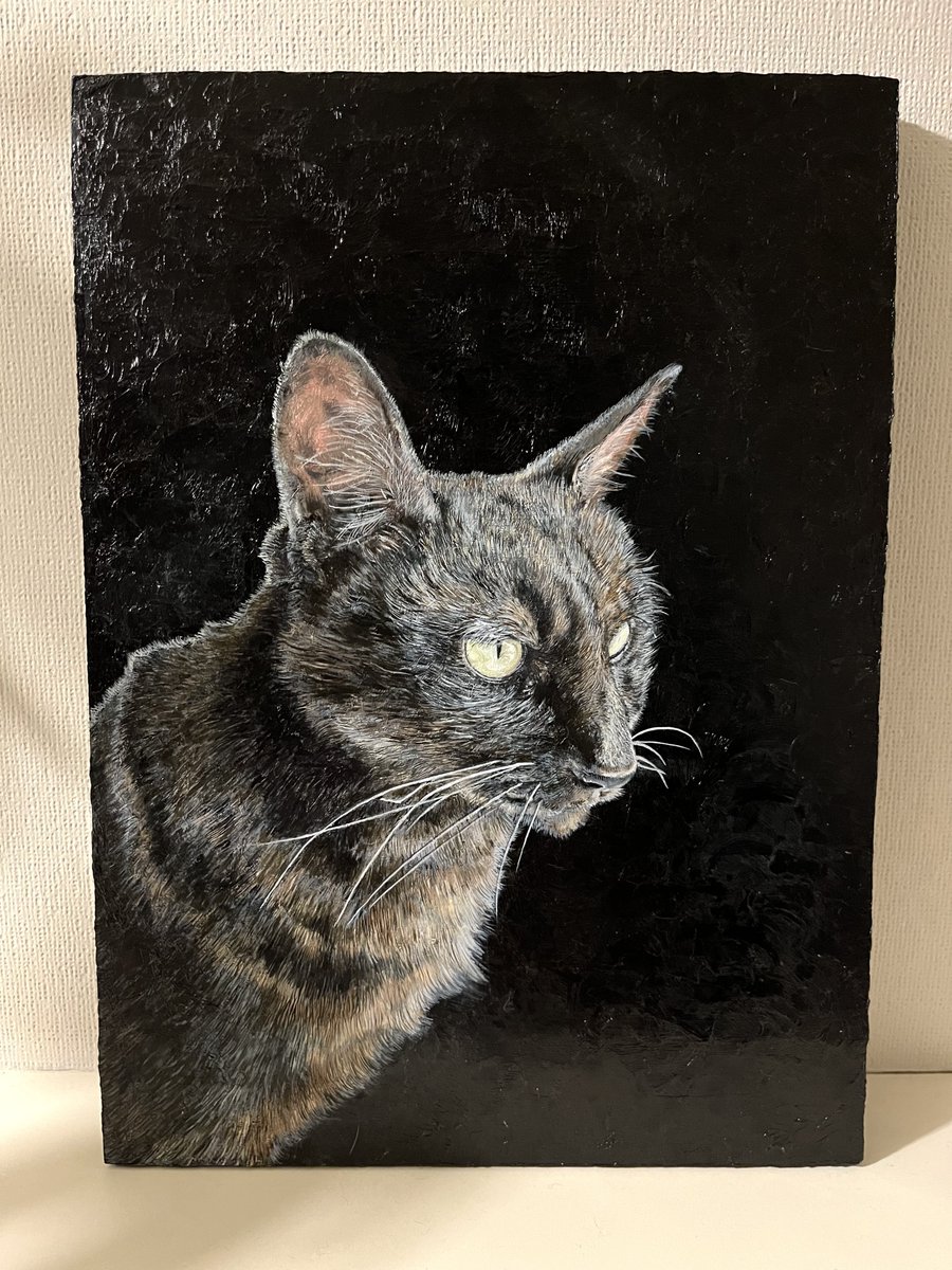 Post by 油彩画家 鹿 on X: 油彩画 #猫の日