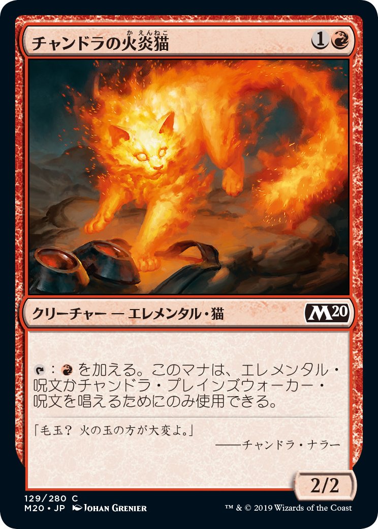 マジック何の日】本日2月22日は、にゃんにゃんにゃん……で 「#猫の日