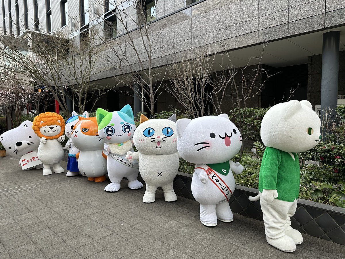 ねこいちさん（第一三共ヘルスケア） (@neko_ichi_san) / Posts / X