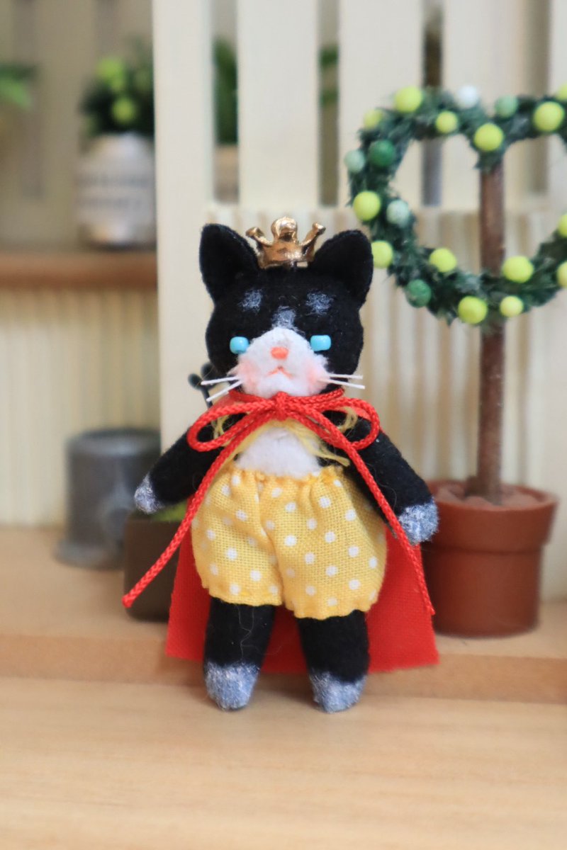 にゃんにゃんにゃんの日🐱 先日お迎えしたネコちゃんドール💕 スカート