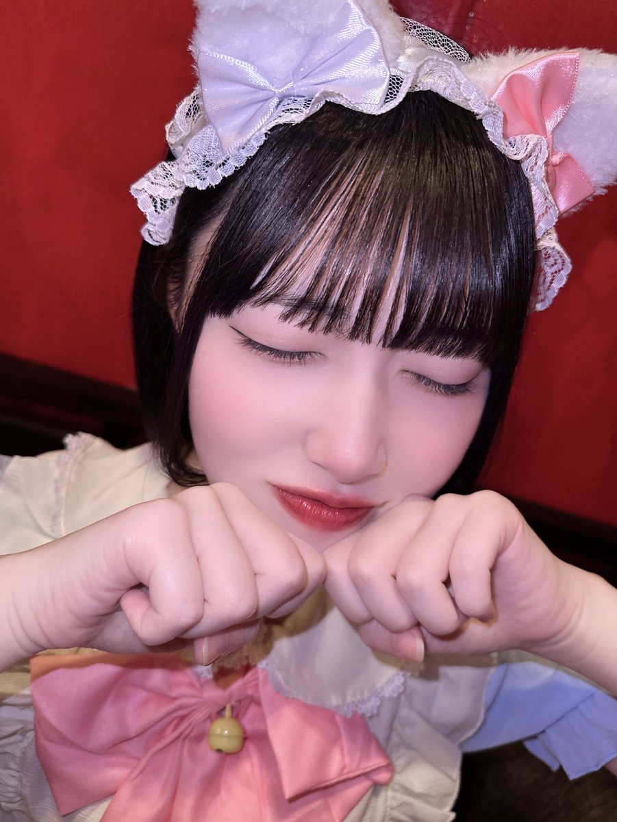 2/22 22:22 ＼ニャー🐱／