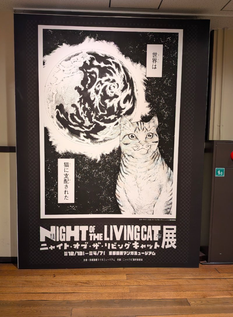 今日は猫の日だったので、マンガミュージアムで『ニャイト・オブ・ザ