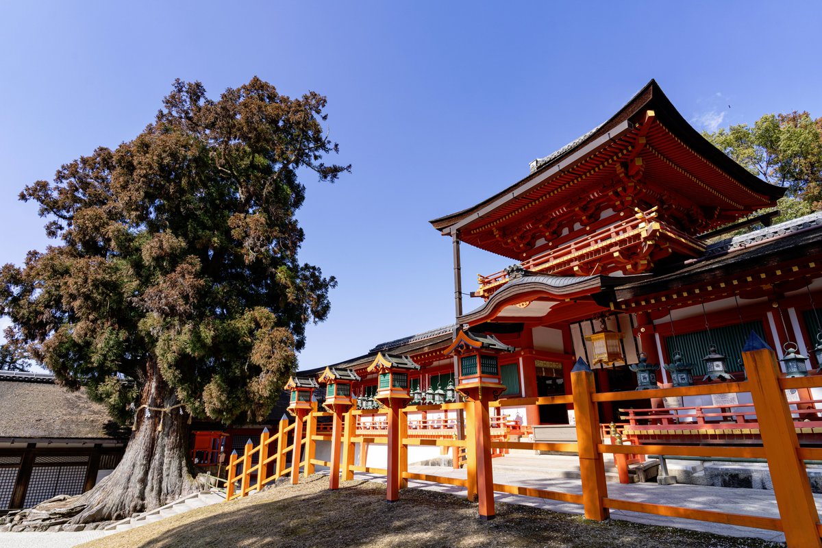 山田 太郎 (@nek54321) / Posts / X