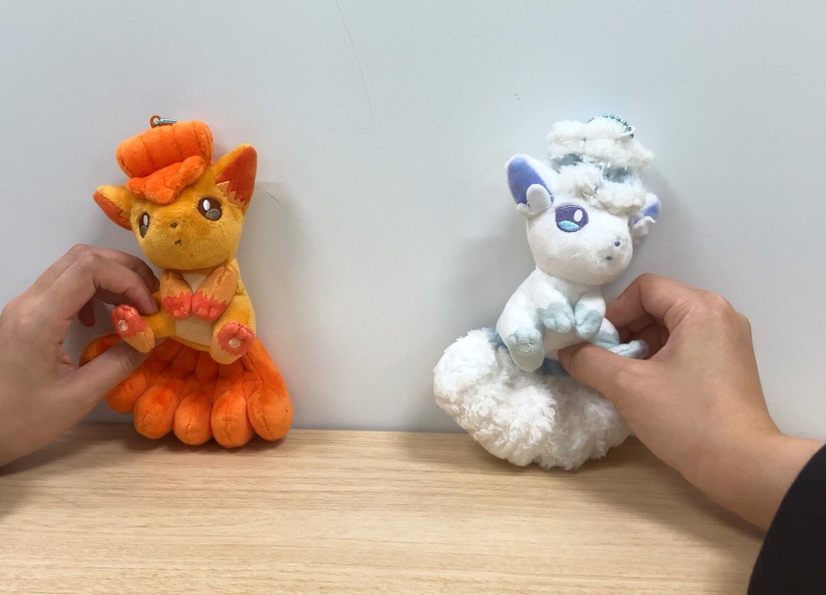 にたものどうし 磁石でくっつくペアマスコット ライチュウ＆アローラライチュウ