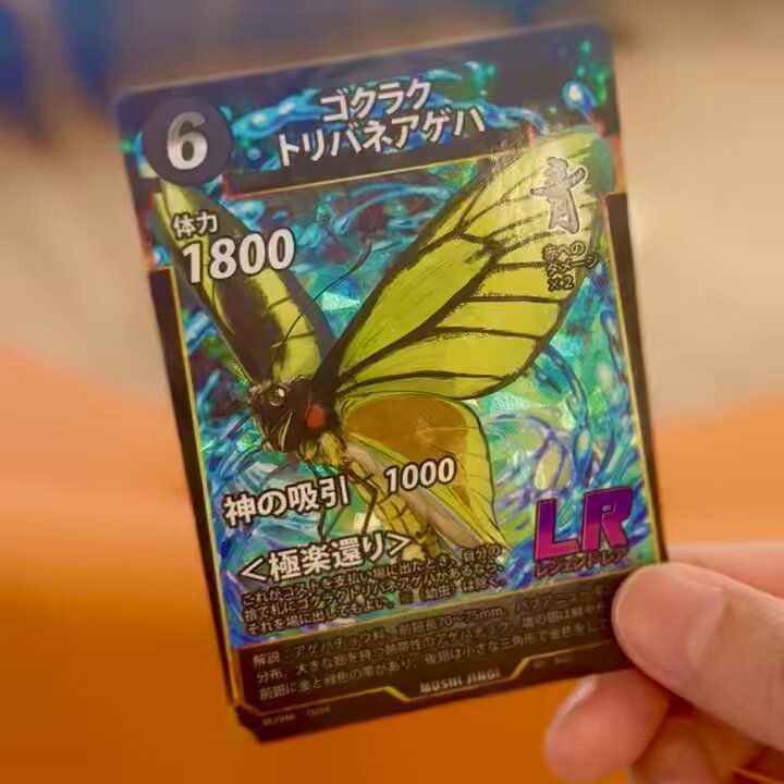 蟲神器第6弾 レジェンドレア ゴクラクトリバネアゲハ🦋💞 表情とお口
