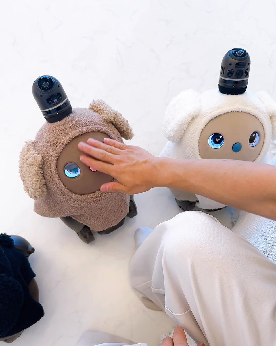 👜再入荷のお知らせ／ 大きく垂れた耳がかわいい♡「いぬニット