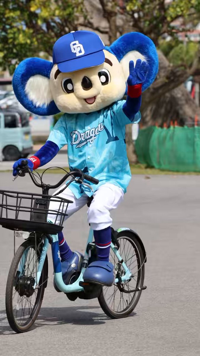 ドアラさーん🐨💙 呼んだら振り返っていただけて🥹 もう嬉し死にそう