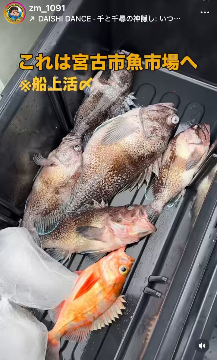 ズーマ (@zm_1091) / Posts / X