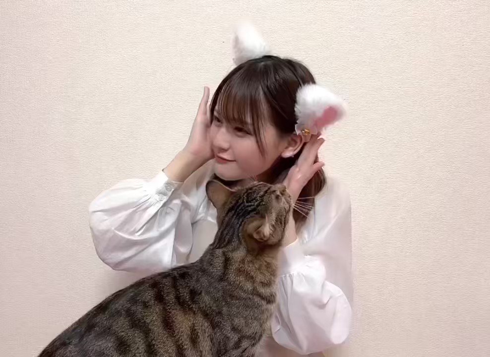 お家に帰ったら… ニセモノの猫耳が気になったみたい？ がっちゃん