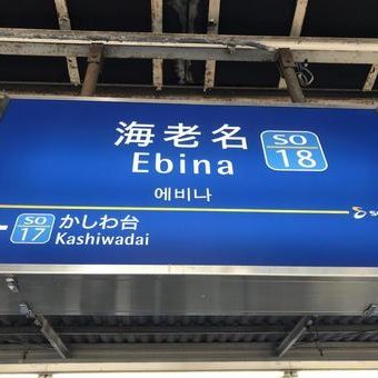 小田急の海老名駅の駅名表示看板に、もころんが登場していました。上り