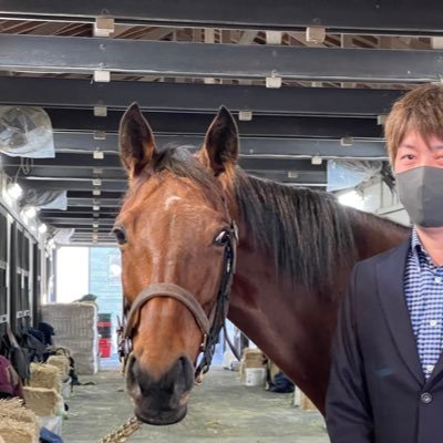 スルーセブンシーズのアイドルホースホースぬいぐるみが届きました