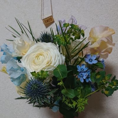 ボディメンテ×ノノガ THE DAY. キャンペーン D賞のHANAちゃん達の直筆