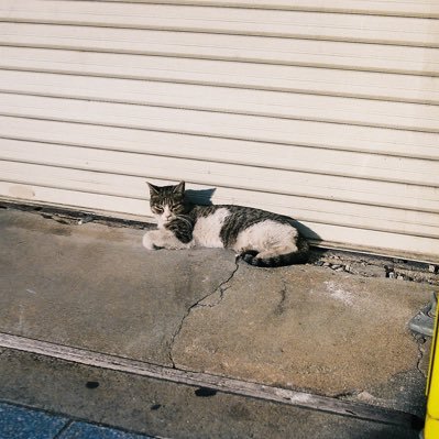 エバース10周年MOOK本『四番、ピッチャー』写真撮らせていただきました