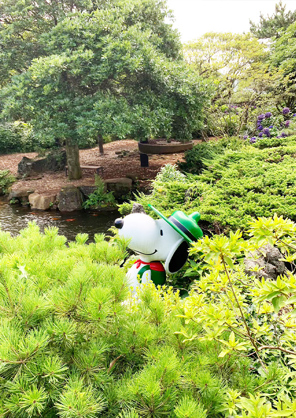 PEANUTS FRIENDS CLUB