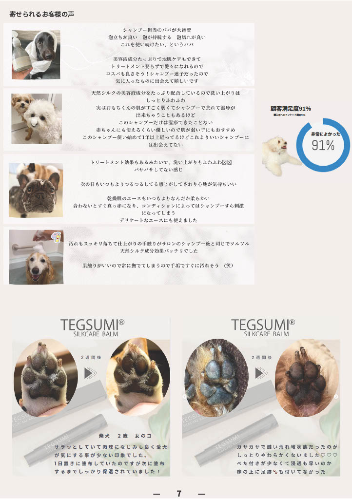 TEGSUMI SILKCARE SHAMPOO 300ml: 600｜業務用トリミング用品通販