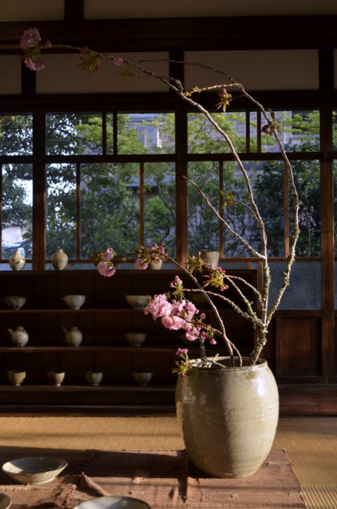 小野哲平 －その造形－」 壺と花 : うつわノート