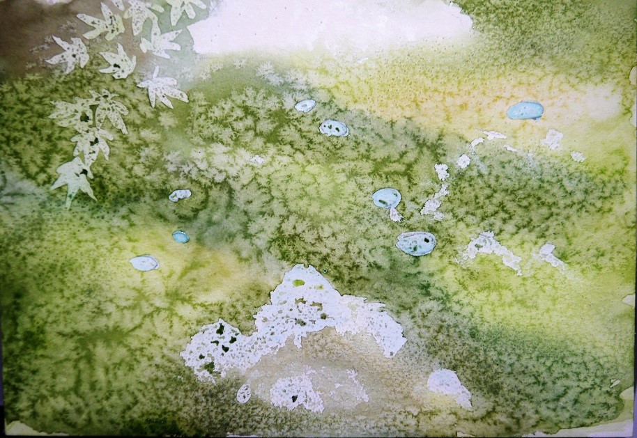 苔むした岩とキノコの絵の描き方とお知らせ。 : 小林啓子水彩画の部屋