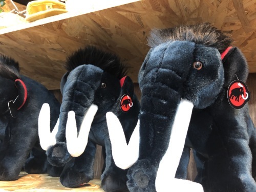 MAMMUT」ぬいぐるみキャンペーン 開催！ : 秀岳荘みんなのブログ！！