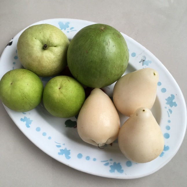 台湾の果物 白いレンブ「白玉蓮霧」 : そこはかノート ー台湾つれづれー