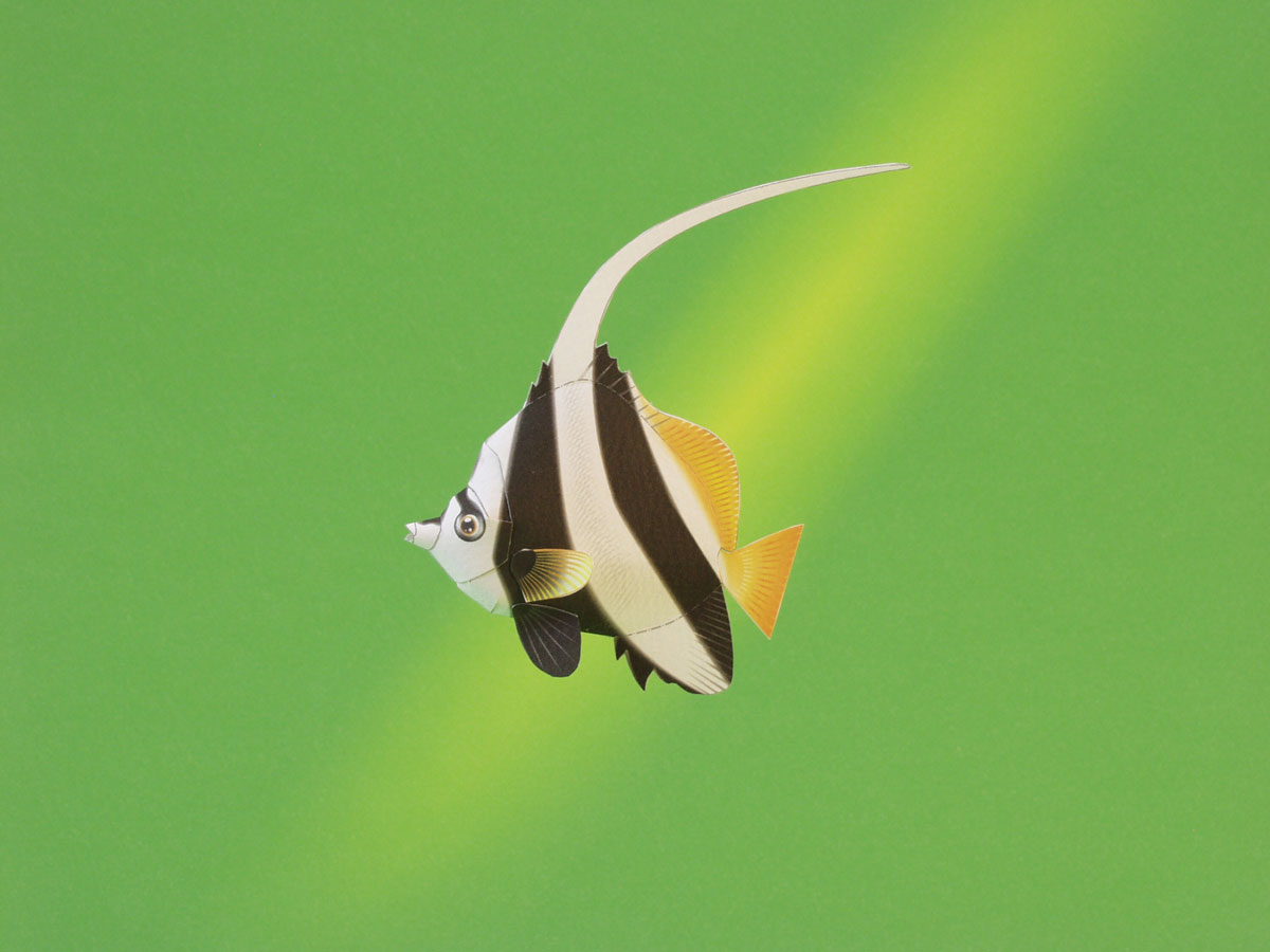 月刊ダイビングワールド掲載、海の生き物のペーパークラフト7月号から9